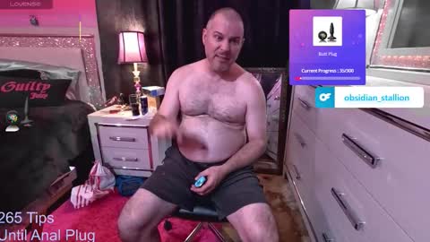 Obsidian stallion online show from 3, 10, 2025