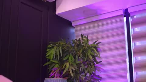 Odette online show from 5, 3, 2026