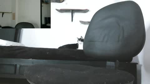 Zack online show from 13, 5, 2026