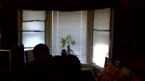 oscar flores online show from 16, 2, 2026