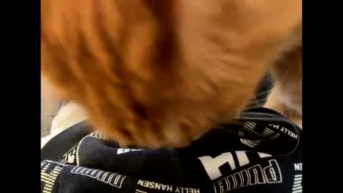 Snapshot of oggs48 chatting on 21, 10, 2025 oggs48 online show from 21, 10, 2025