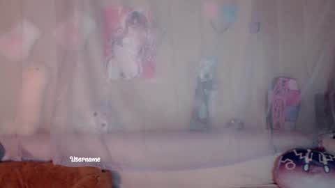 Milly online show from 4, 12, 2024