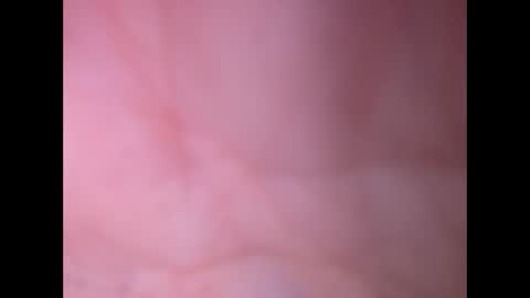 Snapshot of oldaddy2 chatting on 23, 2, 2026 oldaddy2 online show from 23, 2, 2026