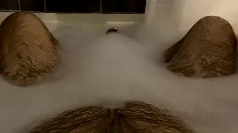 oldbones2 online show from 16, 2, 2025