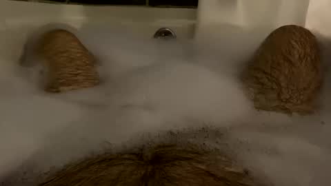 oldbones2 online show from 17, 2, 2025