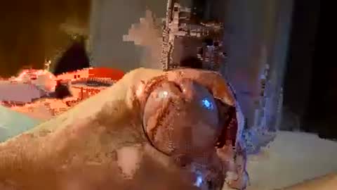 oldermtl online show from 11, 7, 2026