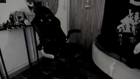     ... online show from 30, 4, 2026
