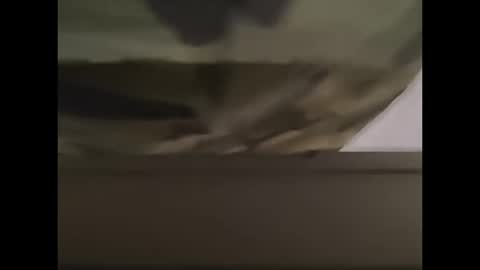 Snapshot of oneeyesnake1843142 chatting on 12, 10, 2025 oneeyesnake1843142 online show from 12, 10, 2025