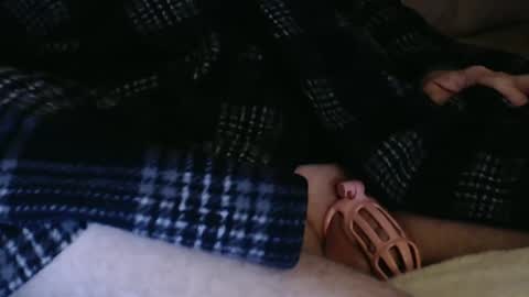 Butch online show from 4, 12, 2024