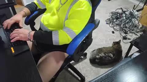 Unpredictable online show from 22, 9, 2025