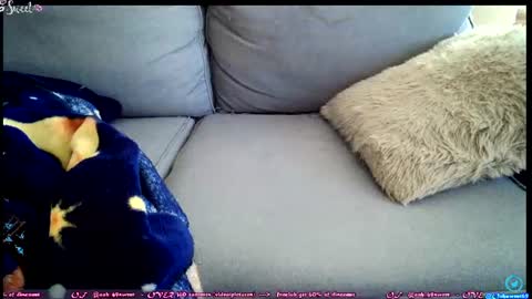  OF - Ooh 69sweet SNAP4LIFE OFFLINE  899 normal  VIP 1369 outside  online show from 27, 6, 2026