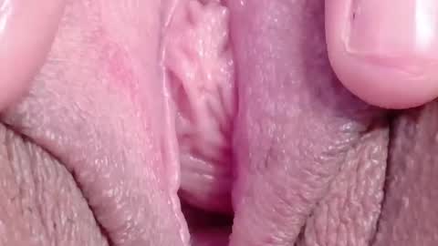 orchidekitty online show from 18, 3, 2026