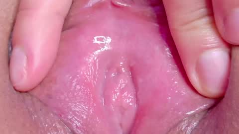 orchidekitty online show from 2, 5, 2026