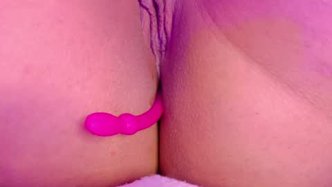 orchidekitty online show from 14, 5, 2026