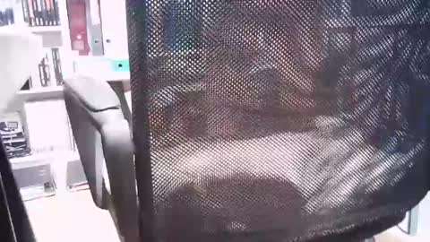 oren online show from 1, 3, 2025