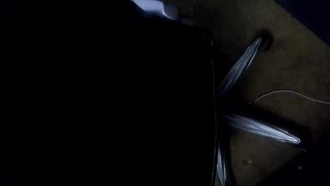 orgasmgiver9090 online show from 7, 11, 2025