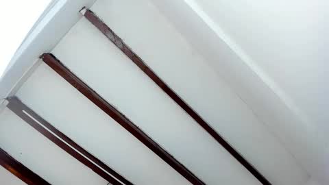 Snapshot of oriana_guzman chatting on 29, 1, 2025 Miss Guzman  online show from 29, 1, 2025