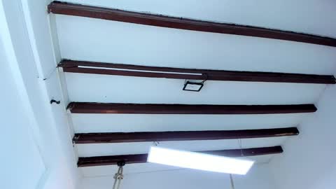 Snapshot of oriana_guzman chatting on 7, 2, 2025 Miss Guzman  online show from 7, 2, 2025