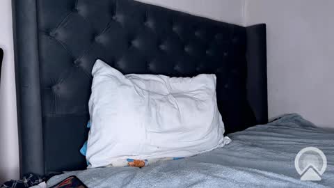 Snapshot of origamicat chatting on 26, 1, 2025 origamicat online show from 26, 1, 2025