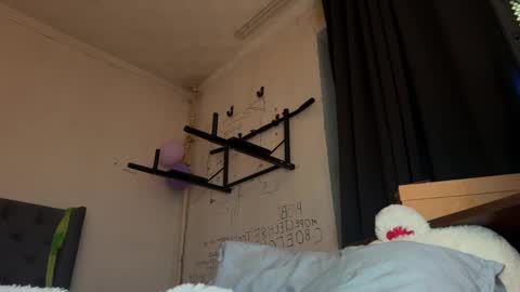 Snapshot of origamicat chatting on 15, 1, 2026 origamicat online show from 15, 1, 2026