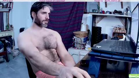 Osito Blanco online show from 8, 5, 2026
