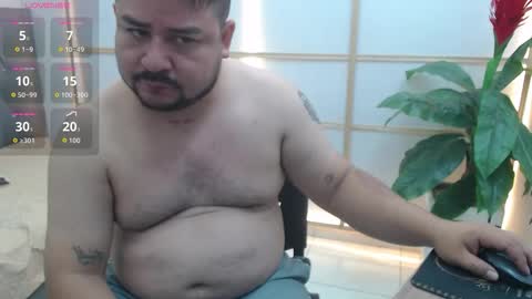 Bear Gael online show from 15, 3, 2026