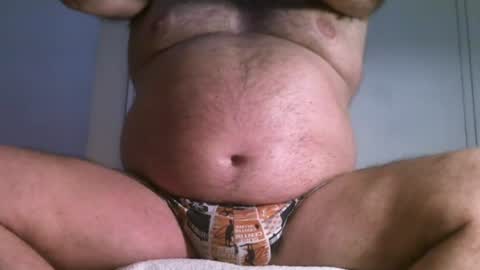 Oso Licencioso online show from 7, 7, 2026