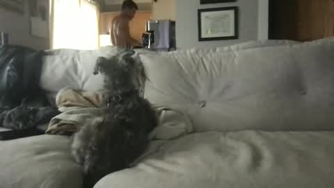 rossignol online show from 13, 9, 2025