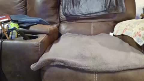 outdoorsmanmark71 online show from 19, 12, 2024