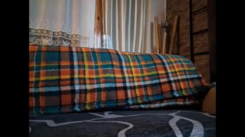 p326032 online show from 6, 11, 2025