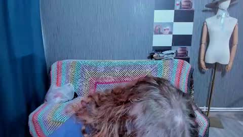 Ella online show from 9, 11, 2025