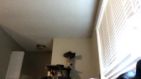 paigechantel online show from 19, 2, 2026