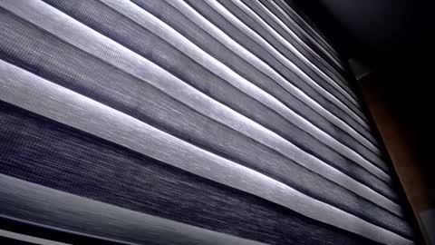 Palmer online show from 9, 12, 2024