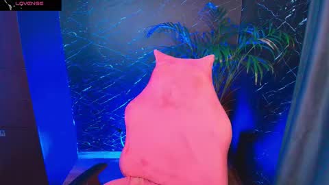 Palo Santo online show from 5, 2, 2026