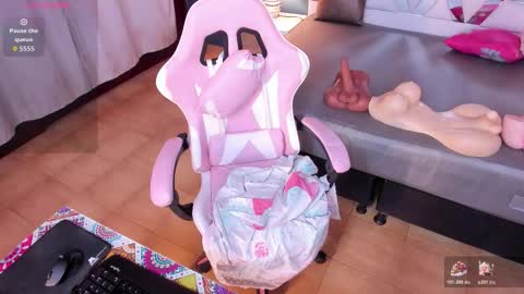 PALOMA 3 online show from 12, 1, 2026