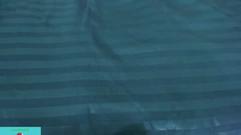 pamela_ambrosia1 online show from 13, 12, 2024