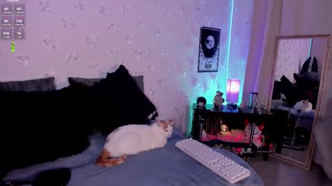 pamela online show from 5, 3, 2026