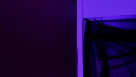  P A M  online show from 23, 11, 2025