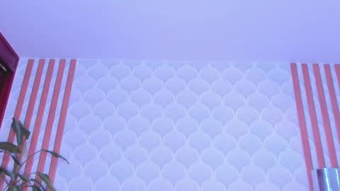 Snapshot of pamelareal chatting on 25, 2, 2025 Pamela online show from 25, 2, 2025