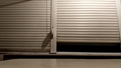 angel hris online show from 3, 12, 2025