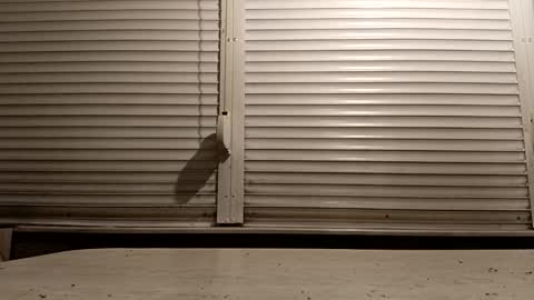 angel hris online show from 6, 2, 2026