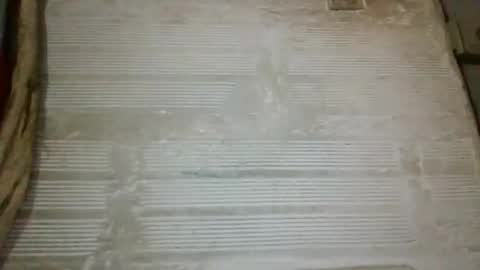 Snapshot of panthers_room chatting on 2, 10, 2025 panthers_room online show from 2, 10, 2025