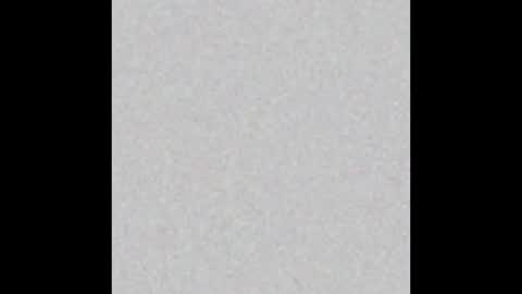 PantsLessTraveler online show from 31, 12, 2024