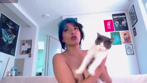 Nebula online show from 7, 2, 2025