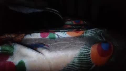 Snapshot of papimexicano703 chatting on 20, 11, 2025 papi mexicano en boxers online show from 20, 11, 2025