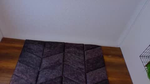 PARIS online show from 18, 2, 2026