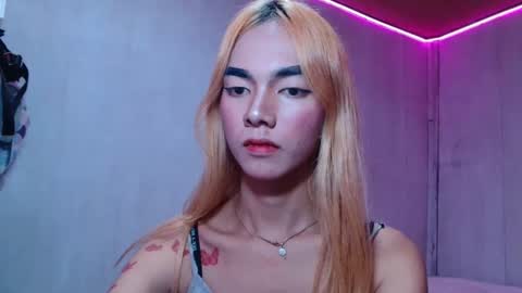 pasadiria online show from 24, 4, 2026