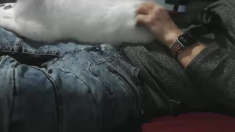 pasexhibe online show from 1, 2, 2026