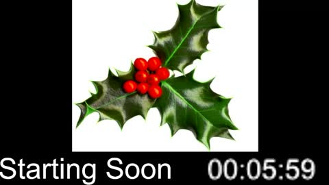 Passion4Fashion online show from 25, 12, 2024