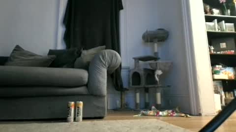 shy online show from 12, 4, 2026